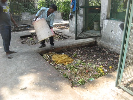 Image6 of Vermiculture