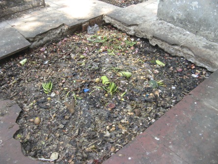 Image8 of Vermiculture